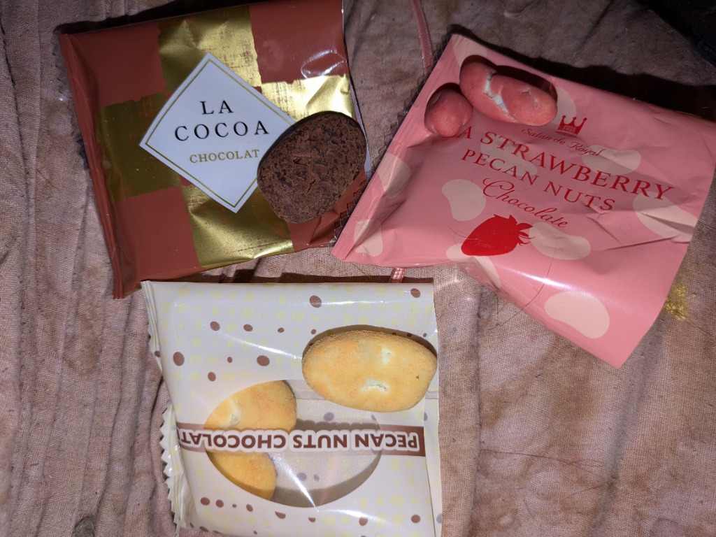サロンドロワイヤル チョコ 母の日 ギフト お菓子 スイーツ プチ