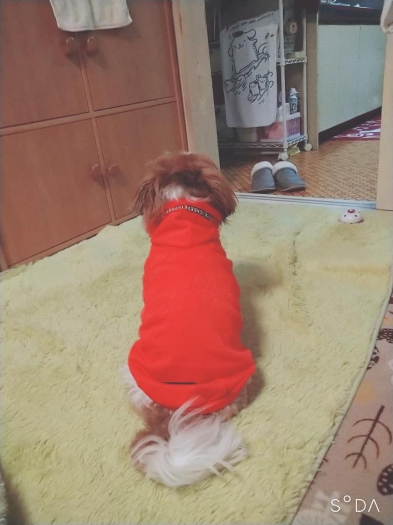 レビュー画像