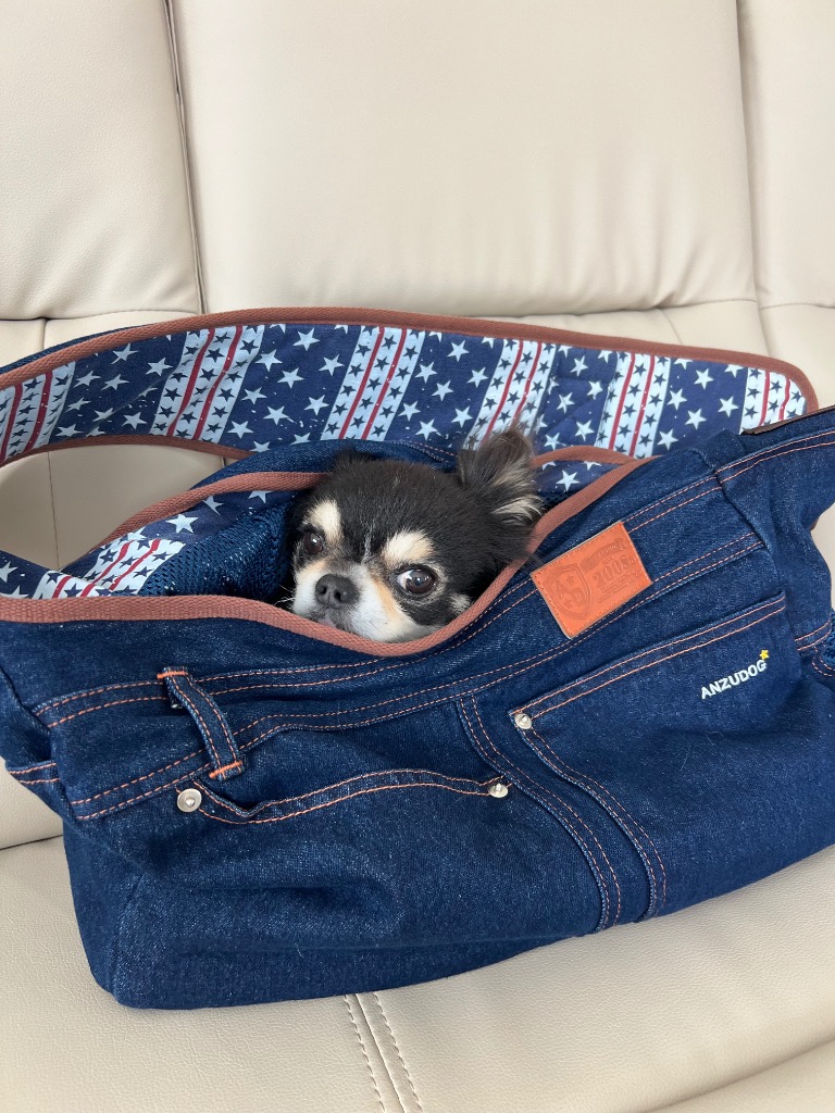 メッシュ蓋 厚板 クッション付】犬 キャリーバッグ スリング Sサイズ