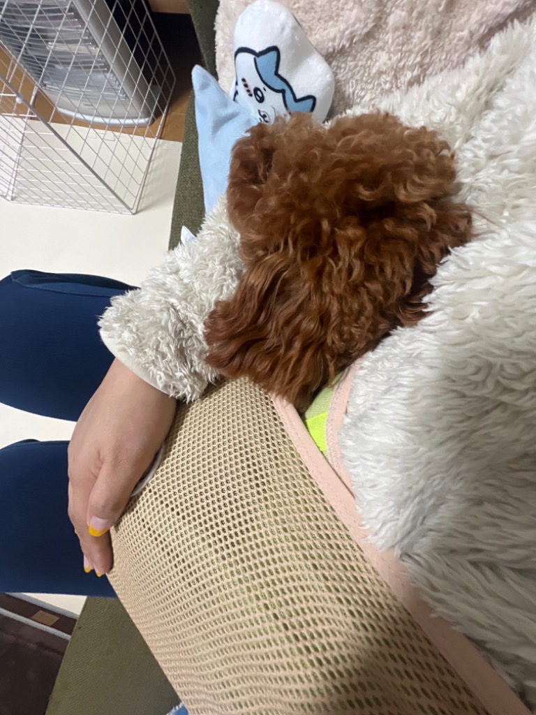 レビュー画像