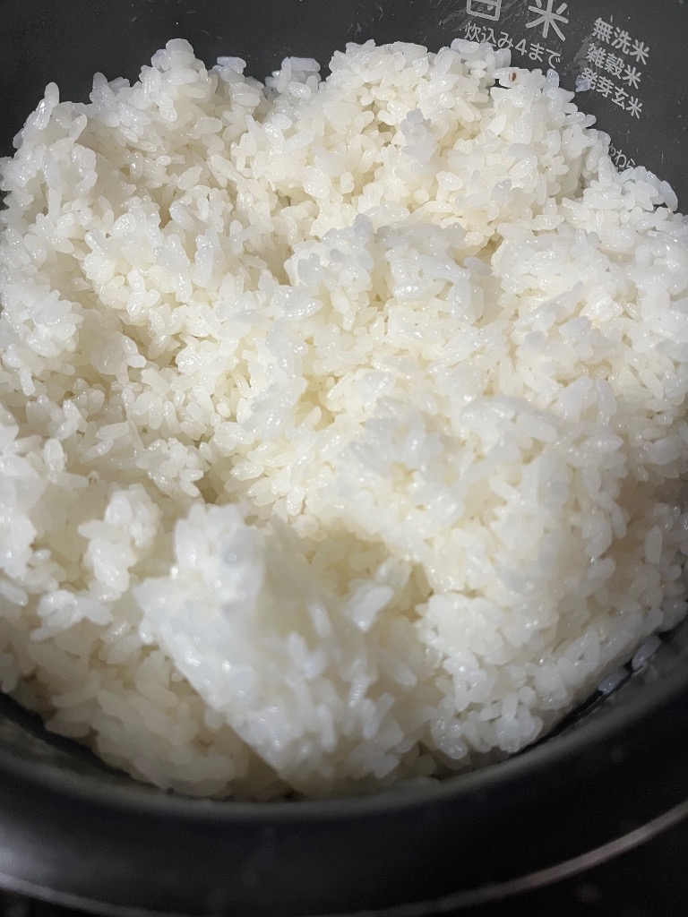 超早場米・新米】 千葉県いすみ産 五百川 白米10kg 令和7年産