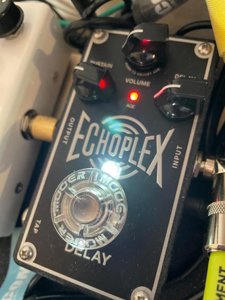 ECHOPLEX ディレイエフェクター EP103：Echoplex® Delay – モリダイラ楽器