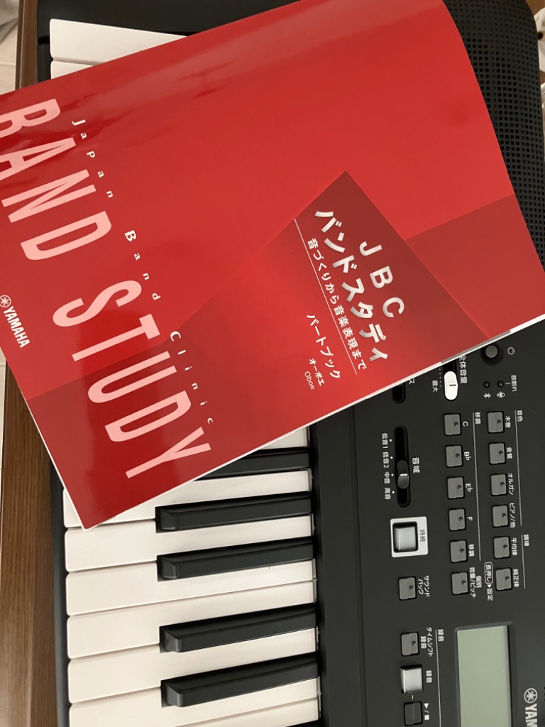 ヤマハ YAMAHA HD-300 ハーモニーディレクター リズム