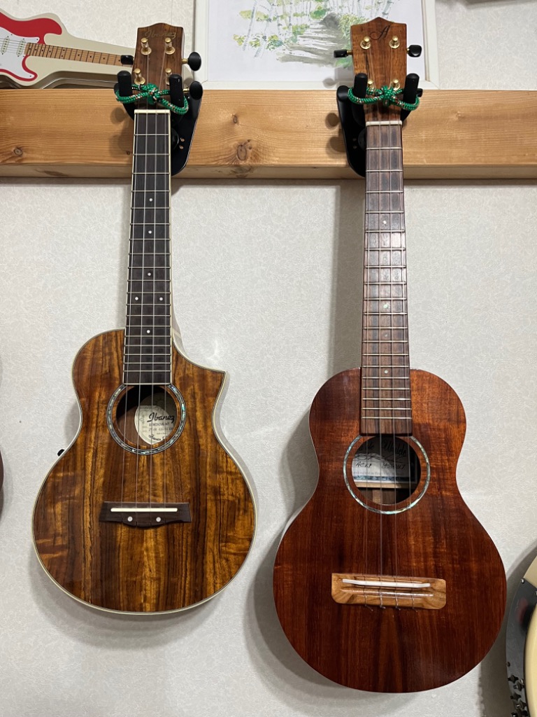 SAVAREZ サバレス ウクレレ フロロカーボン弦 140-R - 最安値・価格