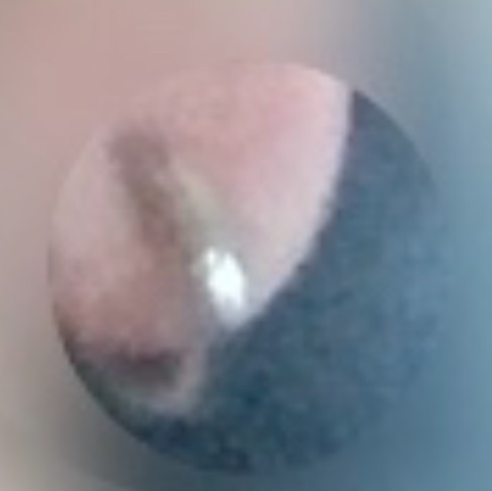 全体のレビュー画像 | 13-2