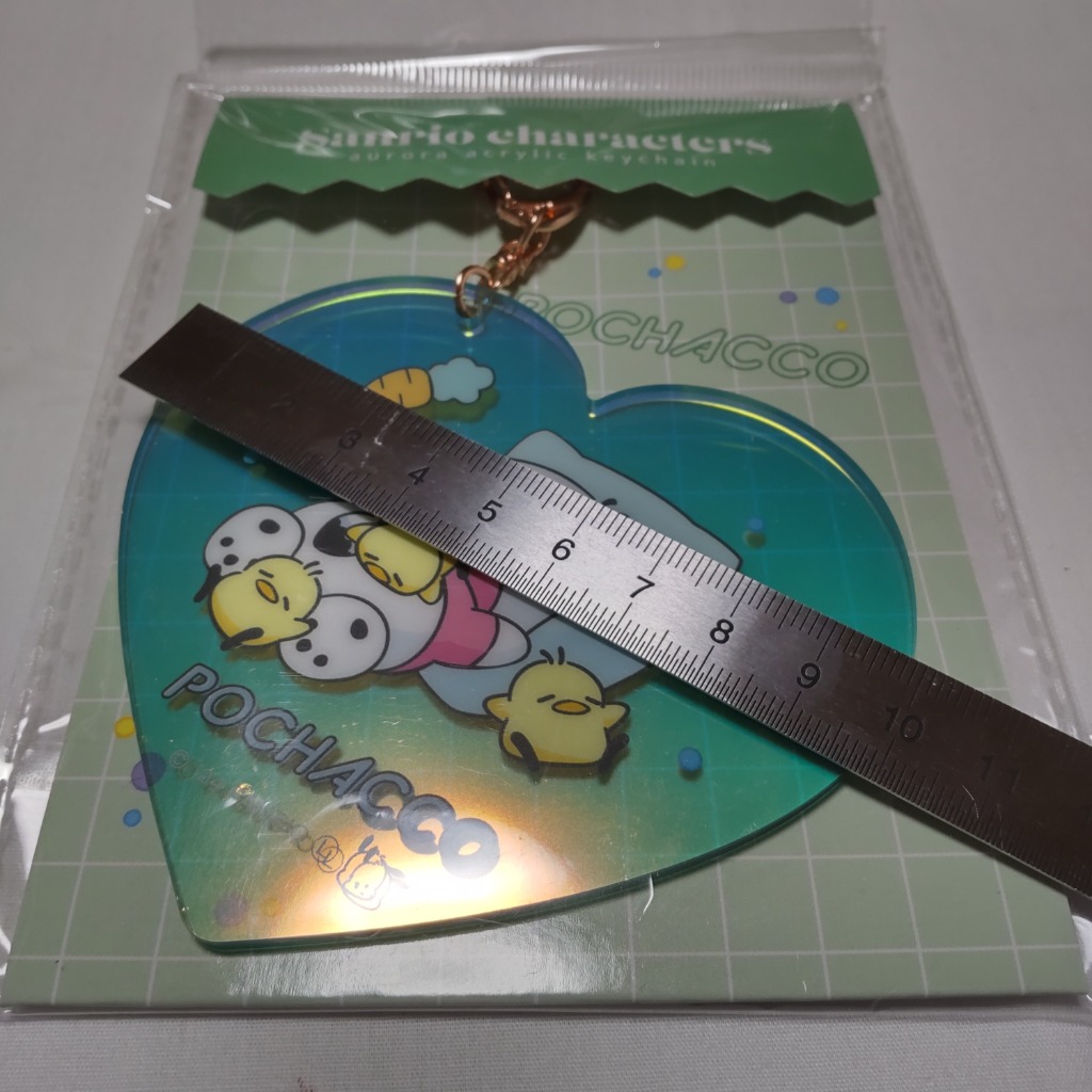 ポチャッコ キャラクター キーホルダー オーロラアクリルキー