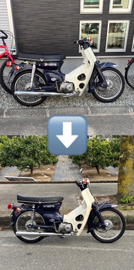 レビュー画像