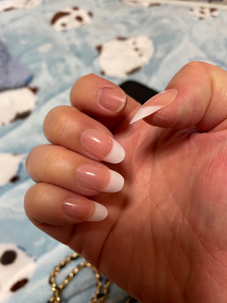 全体のレビュー画像 | 1-0