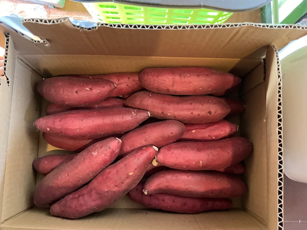千葉県産シルクスイートM 15㎏ Amazon | シルクスイート 特大サイズ 約10kg【産地証明書有