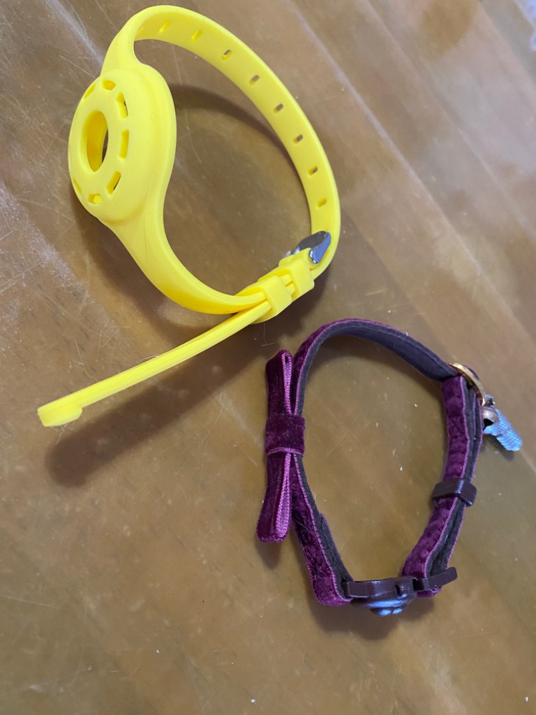 2件目のレビュー画像 | 0