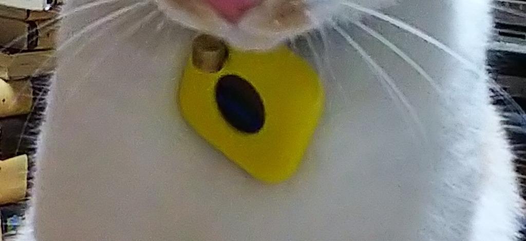 1件目のレビュー画像 | 0