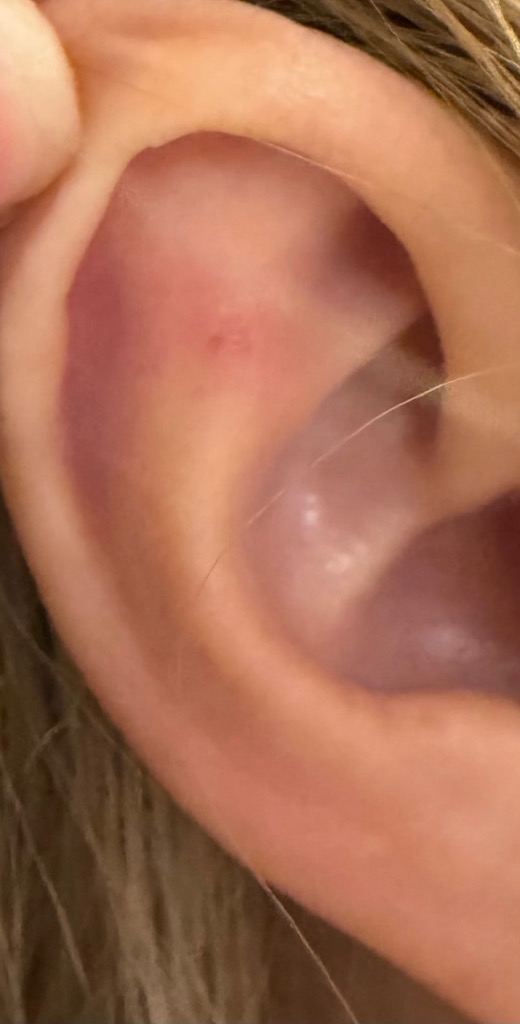 全体のレビュー画像 | 1-1