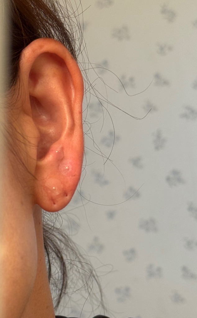 全体のレビュー画像 | 4-0