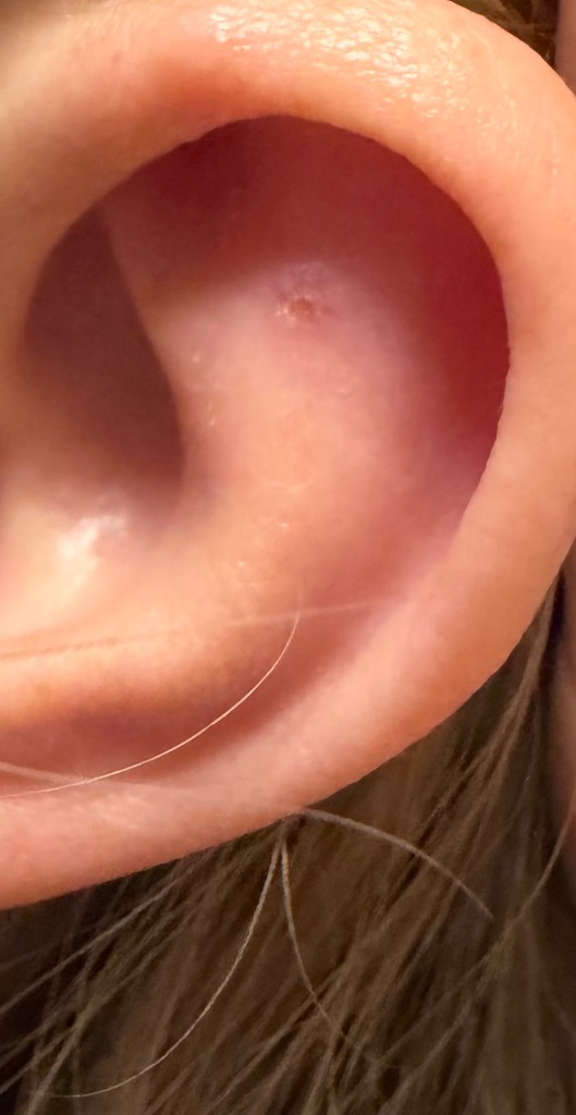 全体のレビュー画像 | 1-0