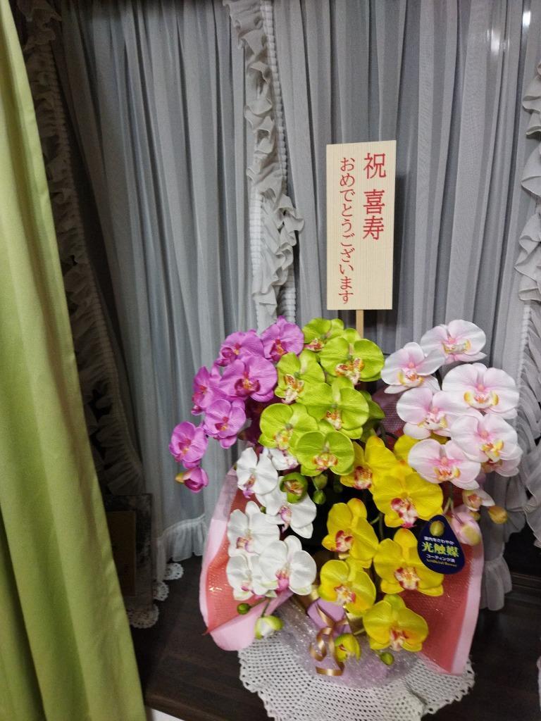 胡蝶蘭 造花 光触媒 開店祝い 5本立 カラフル 白 ピンク 黄色 お祝い 誕生日 大輪 長寿 プレゼント お歳暮 ギフト コチョウラン ココキャン  :01010304:造花の胡蝶蘭専門 CoCoCanフラワー - 通販 - Yahoo!ショッピング