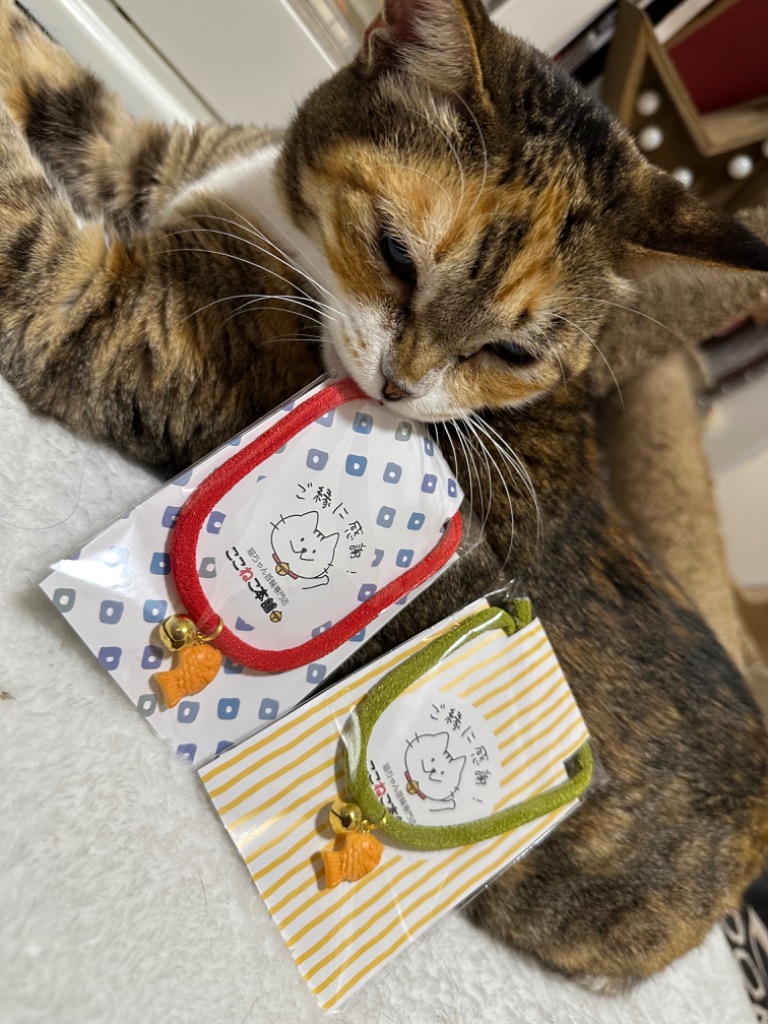 ねこりぼん様 Amazon | ぽぽねこ 丸紐猫首輪 コットン ガーデン（ピンク
