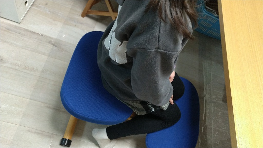 宮武製作所 宮武製作所:プロポーションチェア ブルー CH-88W