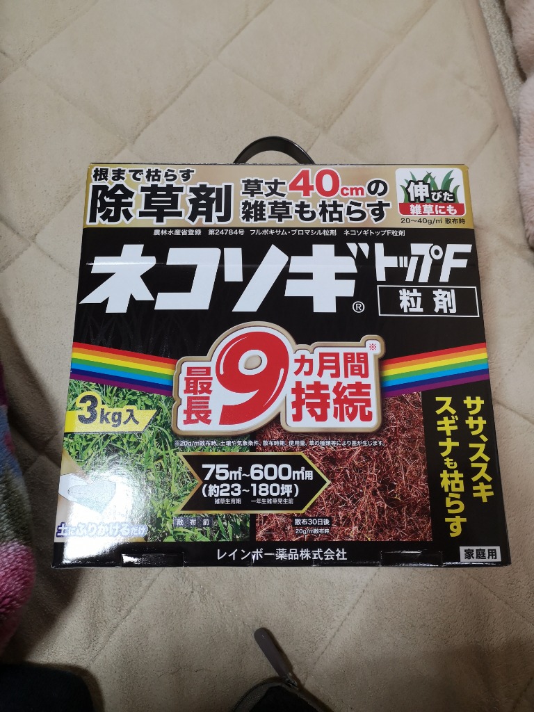 レビュー画像