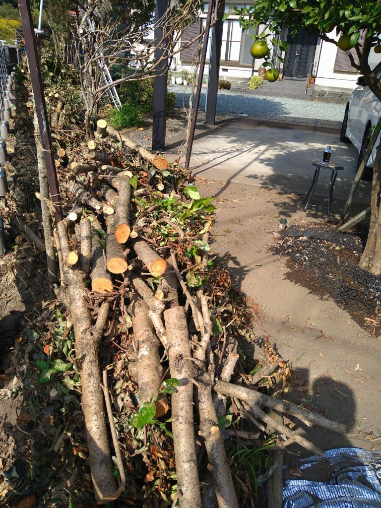 全体のレビュー画像 | 0-1