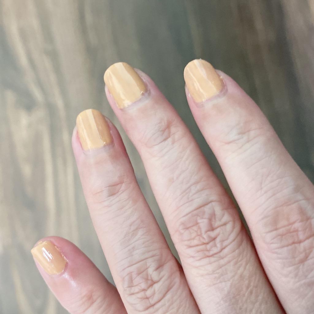 全体のレビュー画像 | 7-0