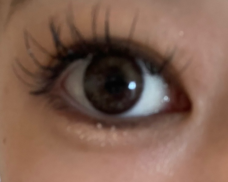 全体のレビュー画像 | 5-0