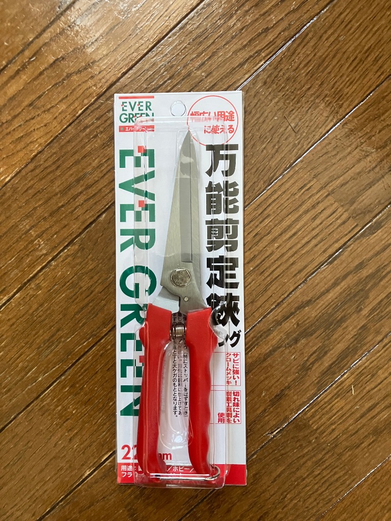 8件目のレビュー画像 | 1