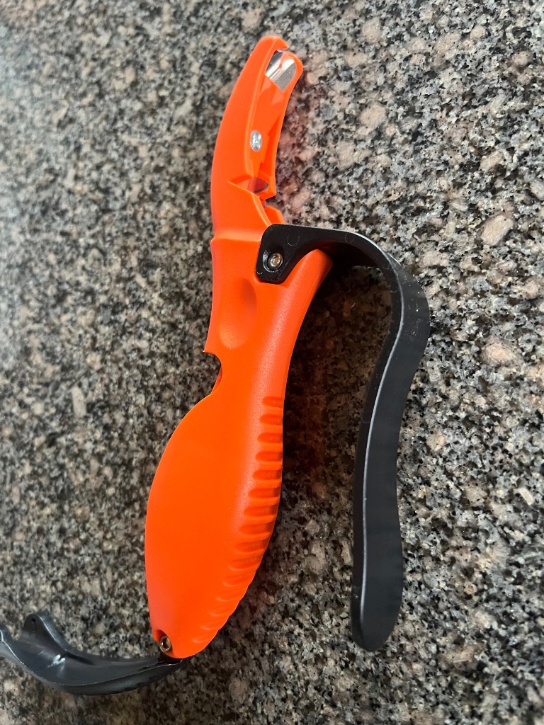 1件目のレビュー画像 | 1