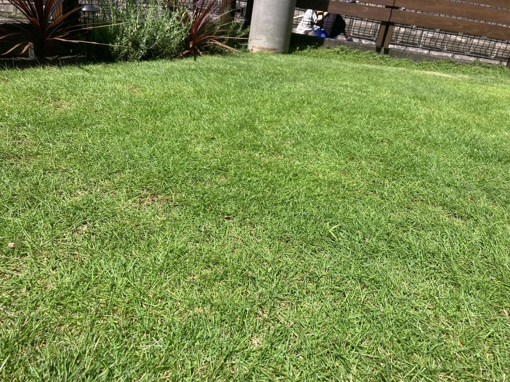 全体のレビュー画像 | 2-1