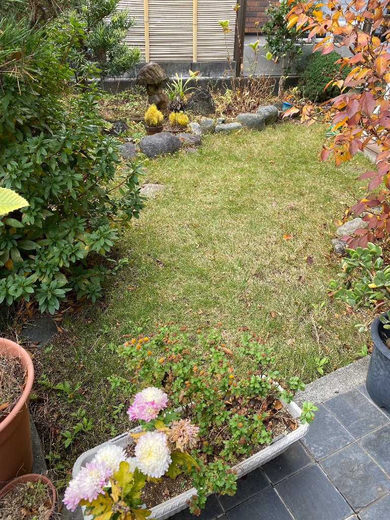 全体のレビュー画像 | 1-1