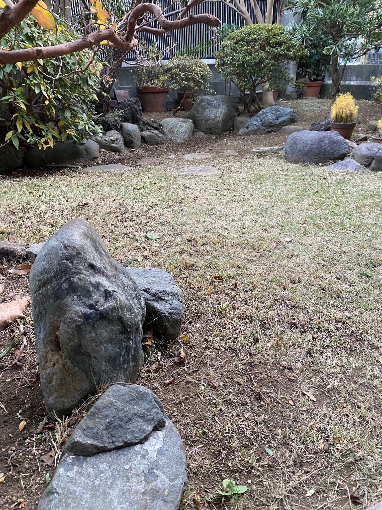 全体のレビュー画像 | 1-0