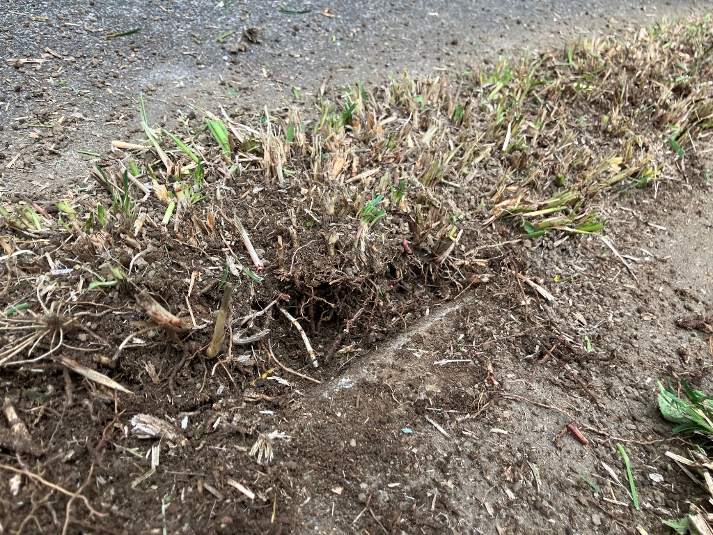 1件目のレビュー画像 | 1