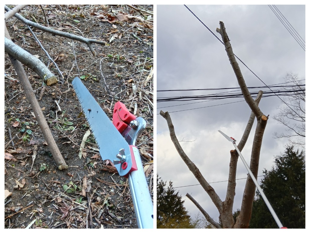 全体のレビュー画像 | 1-0