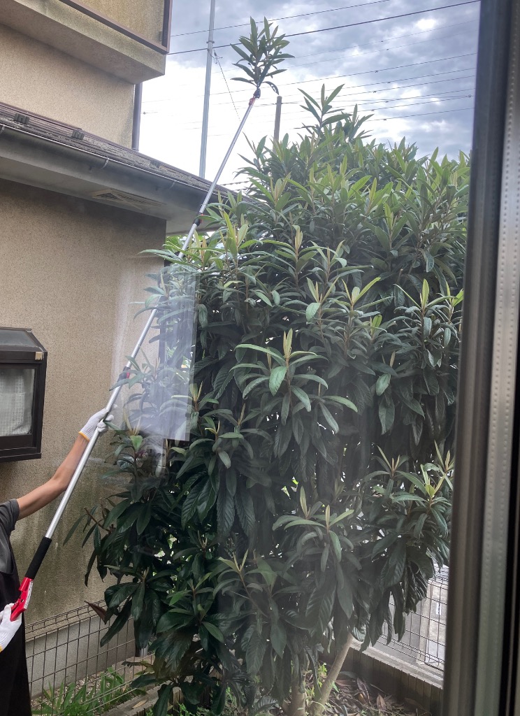 全体のレビュー画像 | 0-0