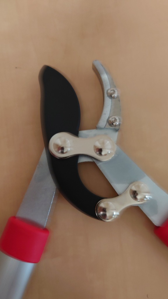 全体のレビュー画像 | 6-2