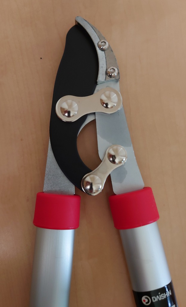 全体のレビュー画像 | 6-1