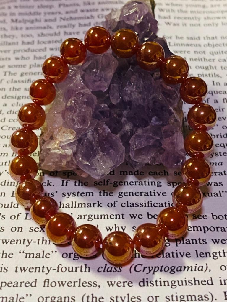 5件目のレビュー画像 | 2