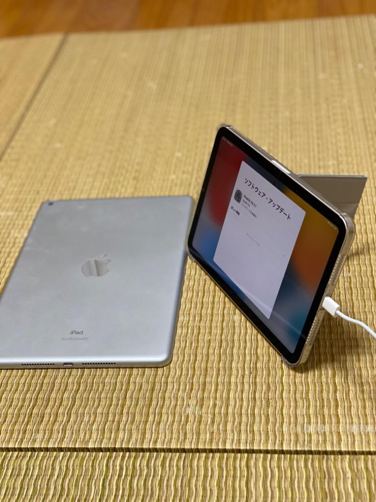 iPad mini (A17pro)本体 switch easyのカバー付き iPad mini (A17pro)本体 switch easyのカバー付き SwitchEasy
