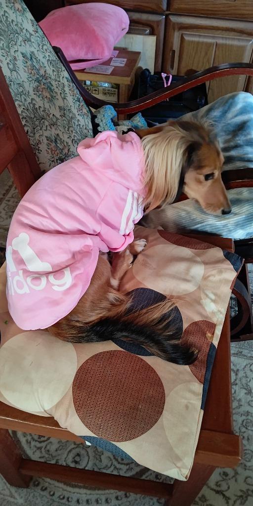 9件目のレビュー画像 | 0