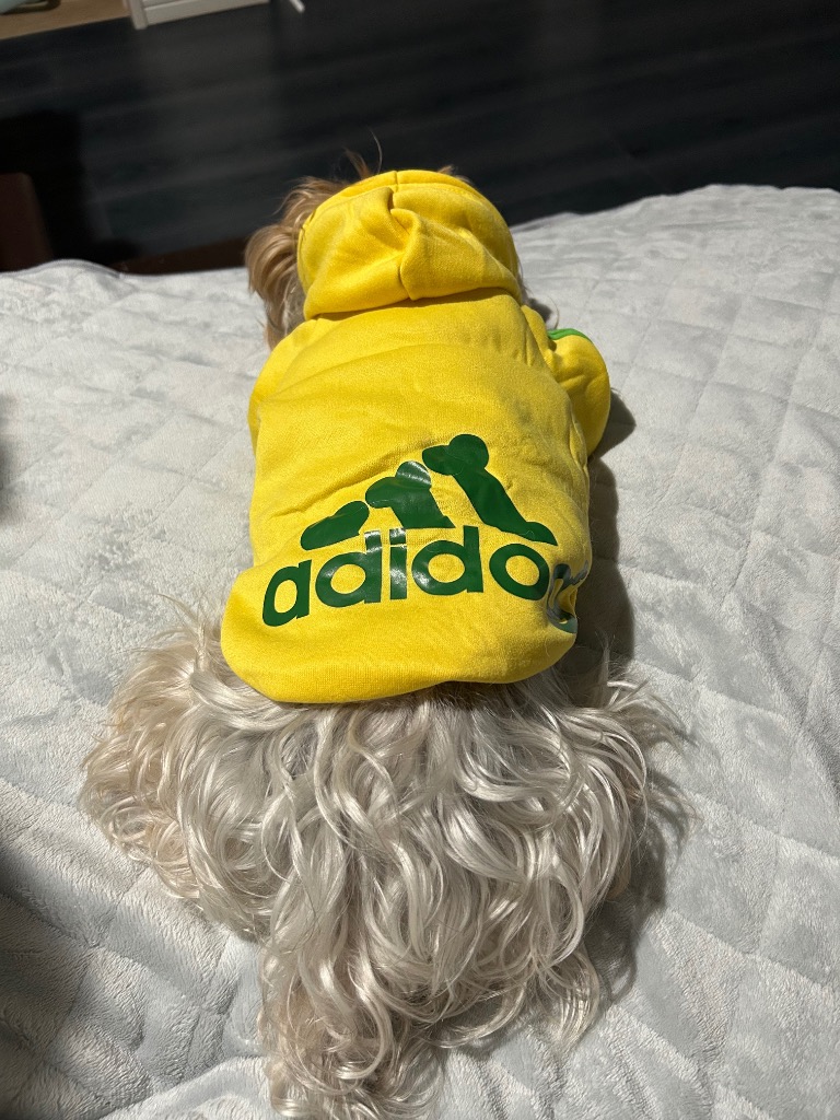 全体のレビュー画像 | 7-0