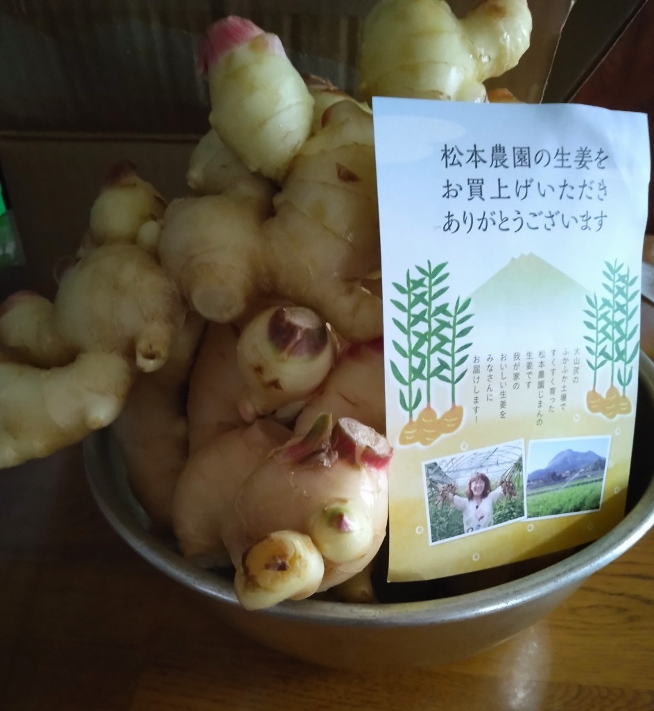 新生姜 直送 2kg 2L 国産 長崎 島原 JGAP取得 松本農園 朝どれ