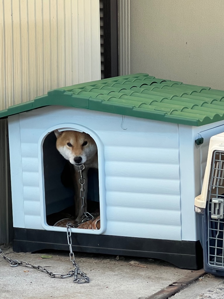 ❤いいね割引　犬小屋　Lサイズ　ペットハウス　ペットケージ　プラスチック　室内外 ペットハウス 屋外 Lサイズ 犬小屋 ペットケージ プラスチック 犬 小型