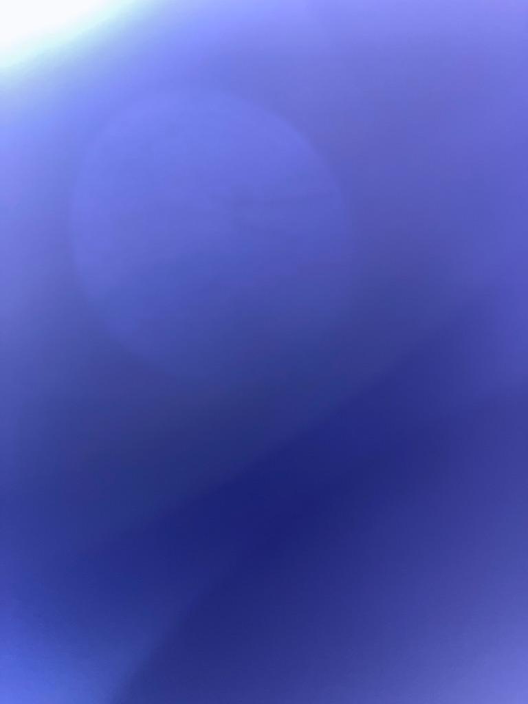 全体のレビュー画像 | 17-0