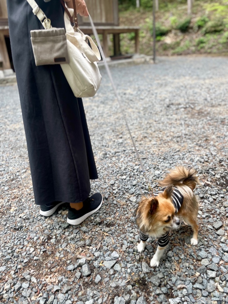 全体のレビュー画像 | 2-0