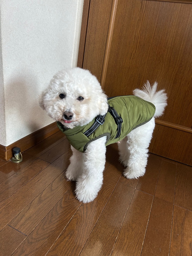 レビュー画像