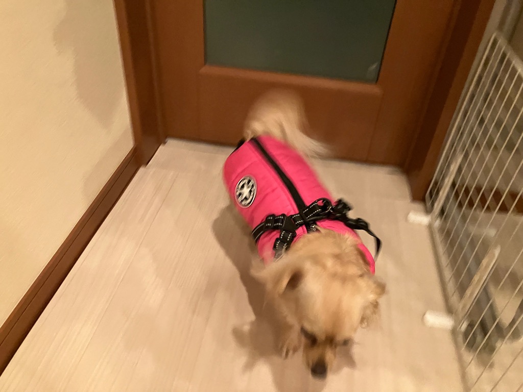 全体のレビュー画像 | 6-1