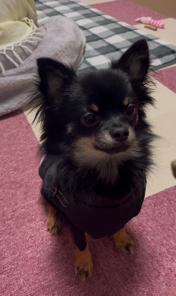 1件目のレビュー画像 | 0