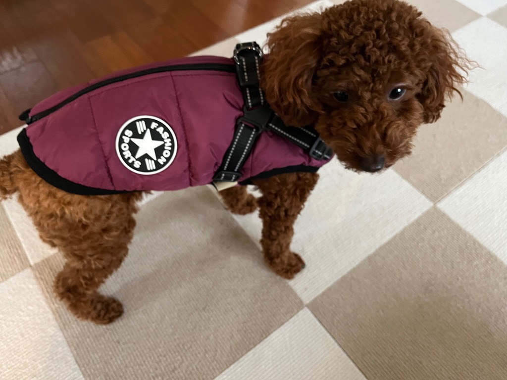 全体のレビュー画像 | 10-0