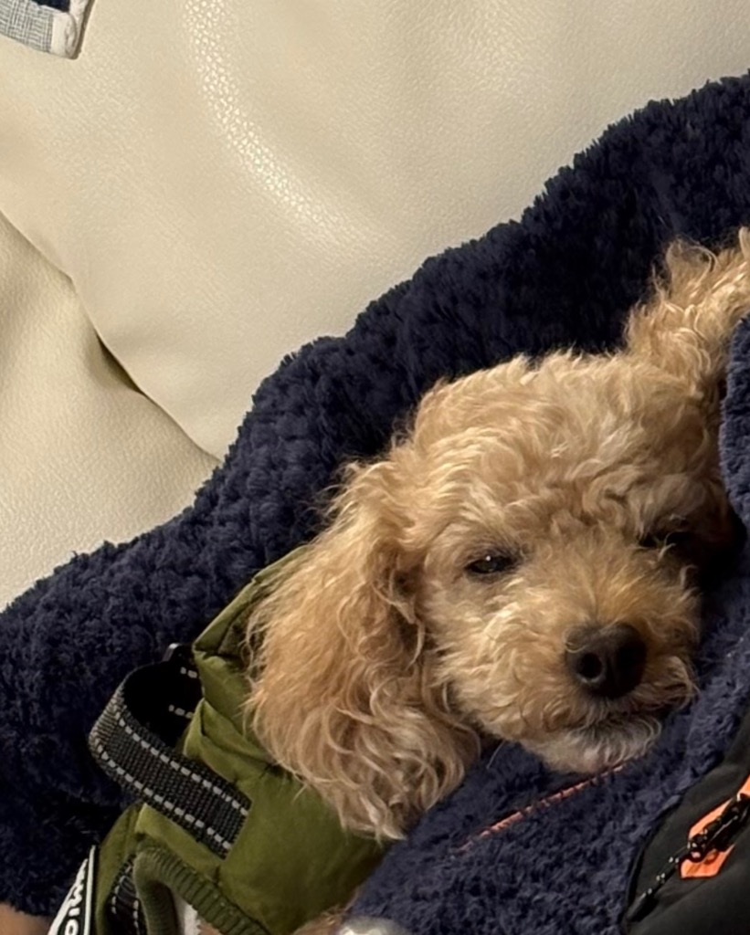 全体のレビュー画像 | 7-3