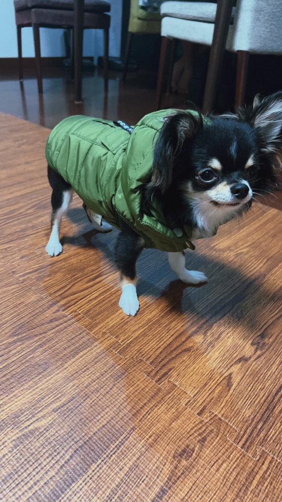 全体のレビュー画像 | 1-0