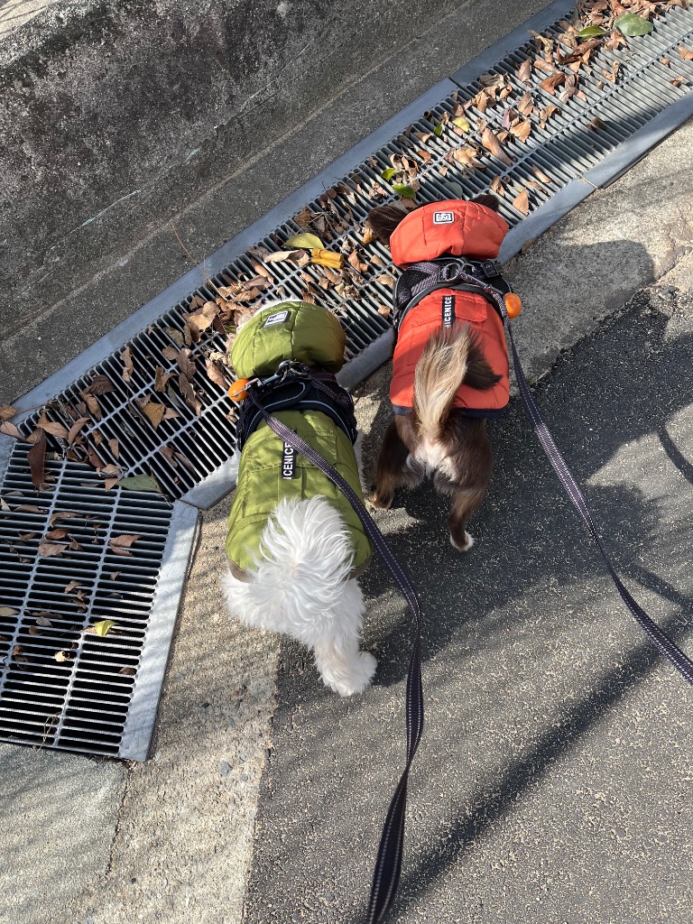 全体のレビュー画像 | 5-1